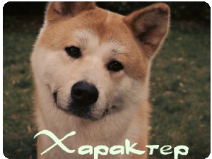 Характер